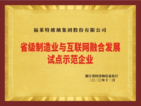 省級制造業(yè)與互聯(lián)網(wǎng)融合發(fā)展試點示范企業(yè)