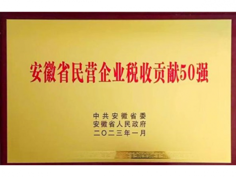 安徽省民營企業(yè)稅收貢獻50強